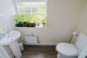 toilet- click for photo gallery